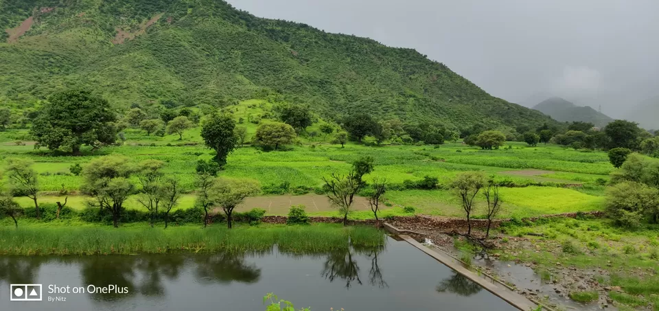 Photo of Udaipur by Nitesh Lalwani