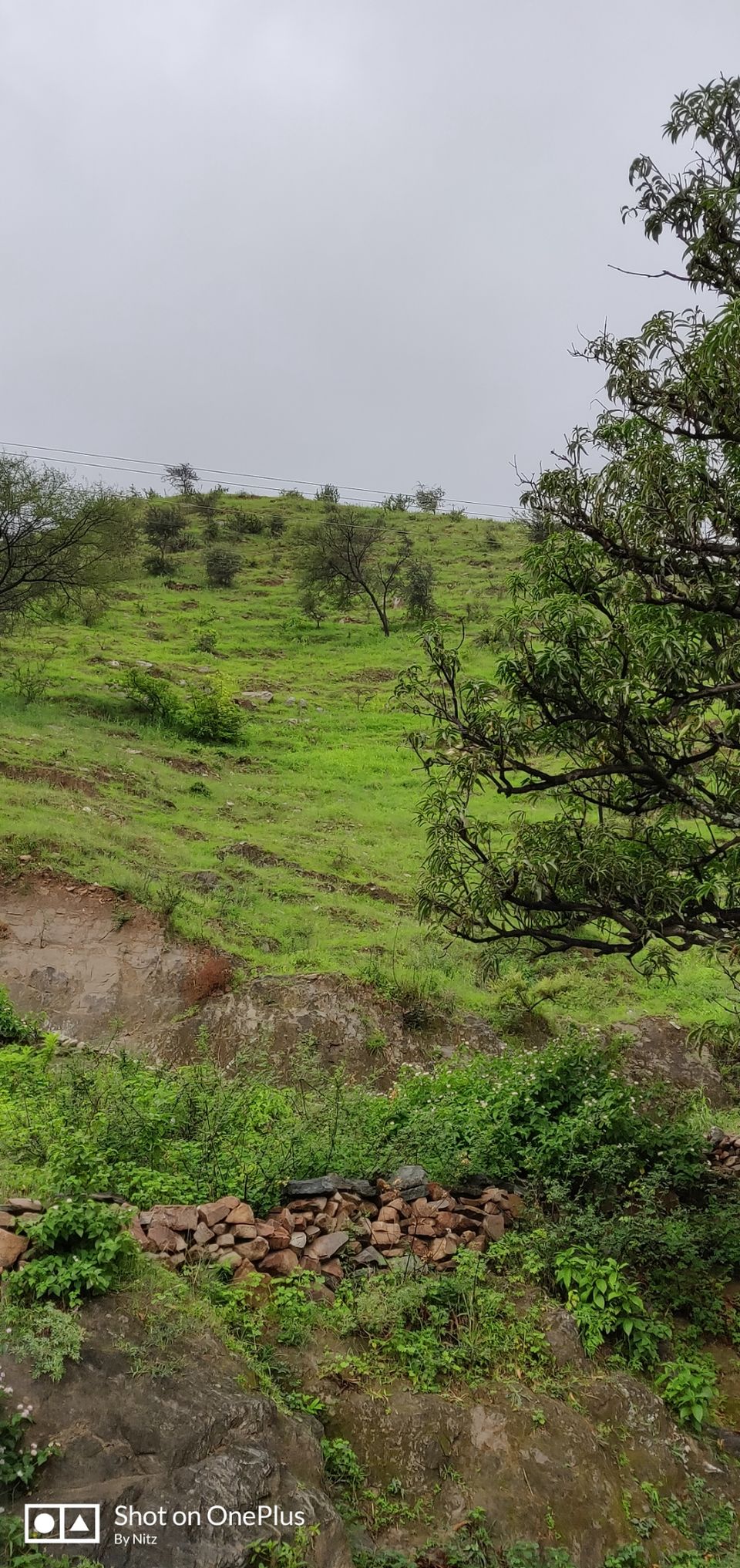 Photo of Surprising Places Of Rajasthan by Nitesh Lalwani