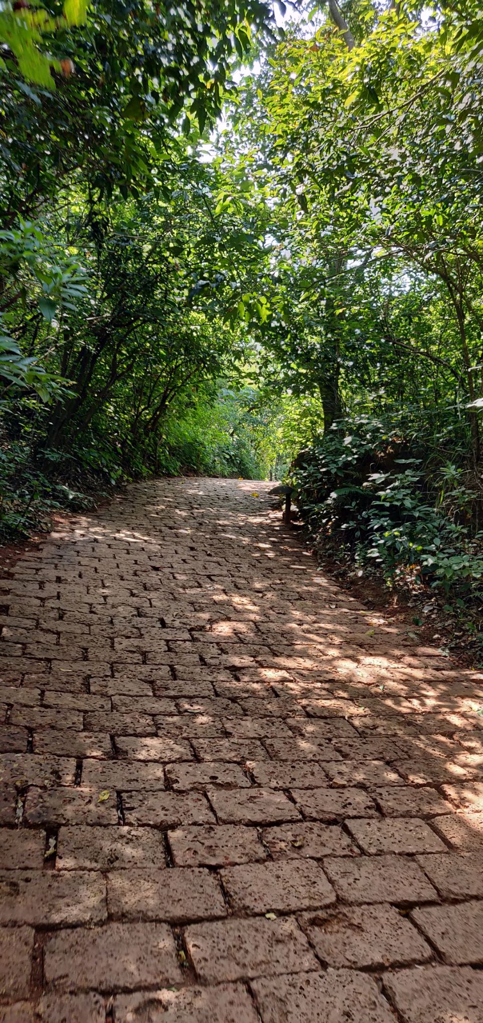 Photo of Wildernest Nature Resort, Chorla, Maharashtra, India by travel raffle