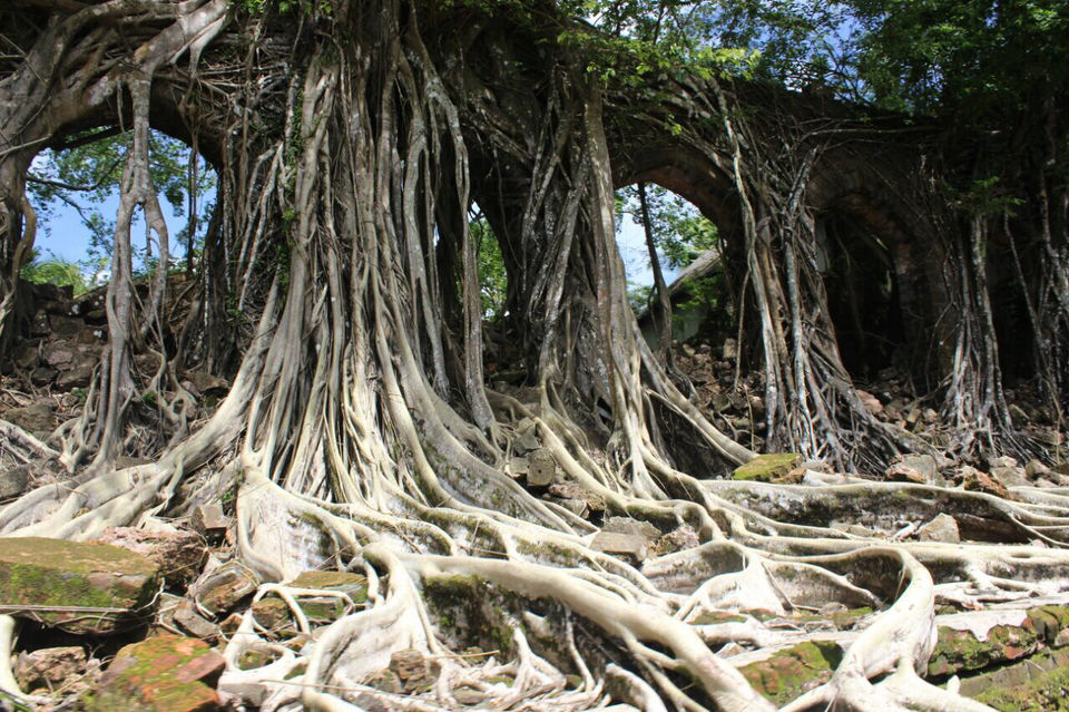 Photo of Amazing Andamans by Ananya Sinha