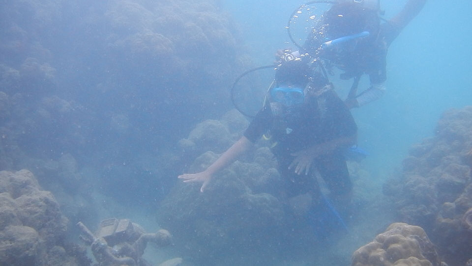 Photo of TSG Blue, Port Blair, Andaman and Nicobar Islands, India by Ananya Sinha