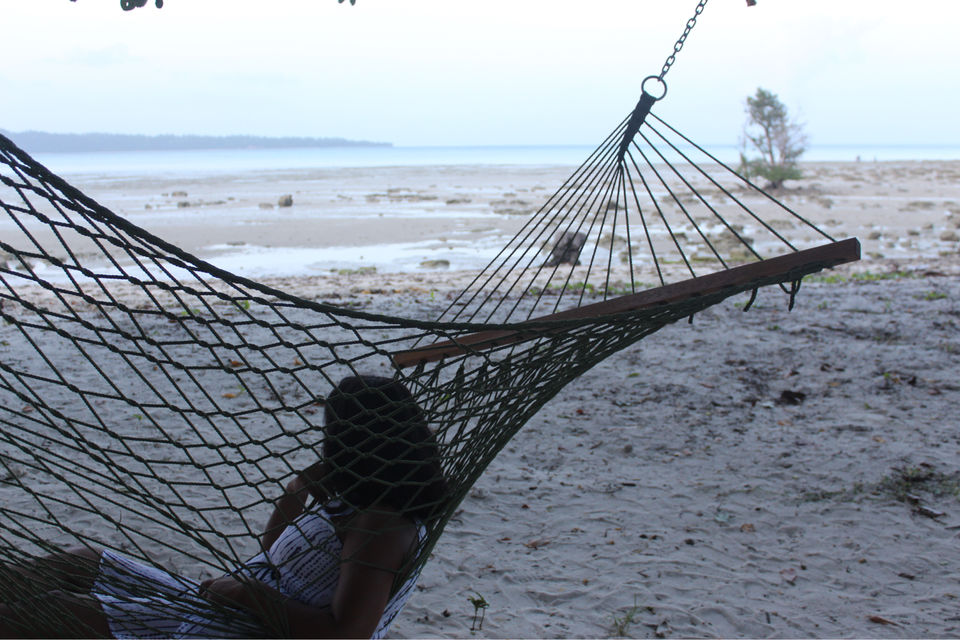 Photo of TSG Blue, Port Blair, Andaman and Nicobar Islands, India by Ananya Sinha