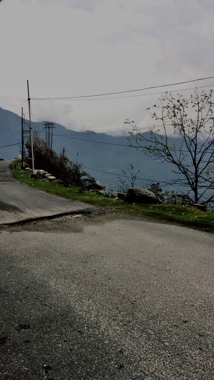 Photo of Girl’s Gang In Gangtok by Ananya Sinha