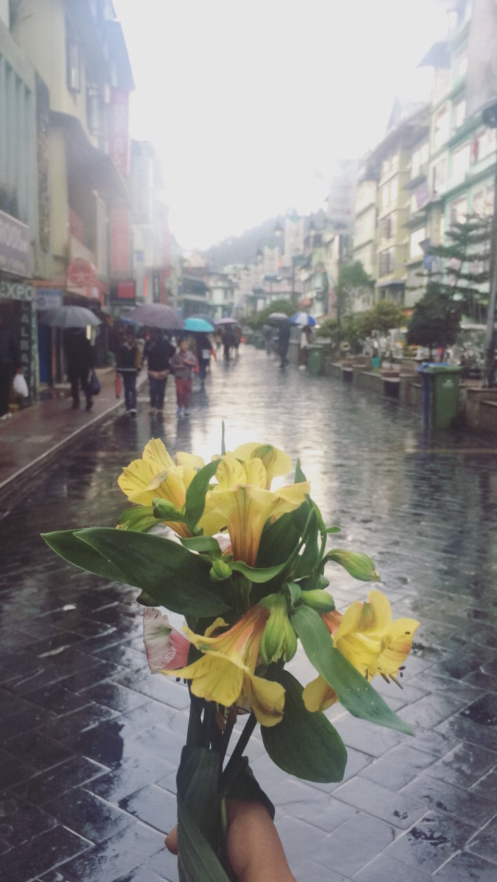 Photo of Girl’s Gang In Gangtok by Ananya Sinha
