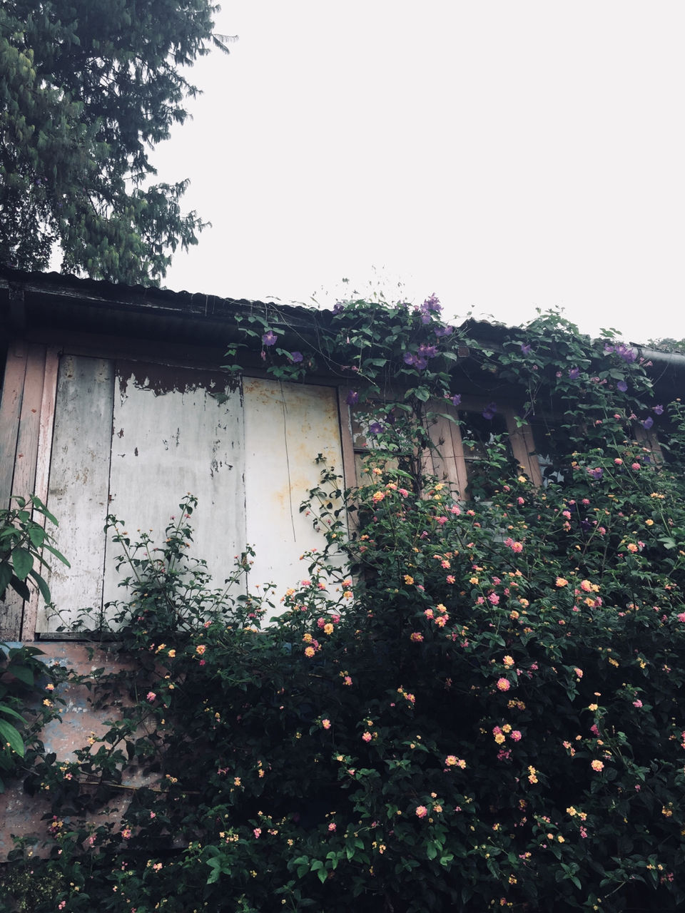 Photo of Kodaikanal by Ananya Sinha