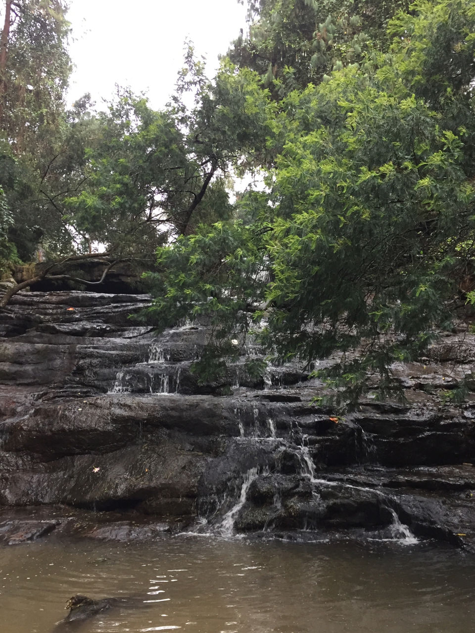 Photo of Kodaikanal by Ananya Sinha