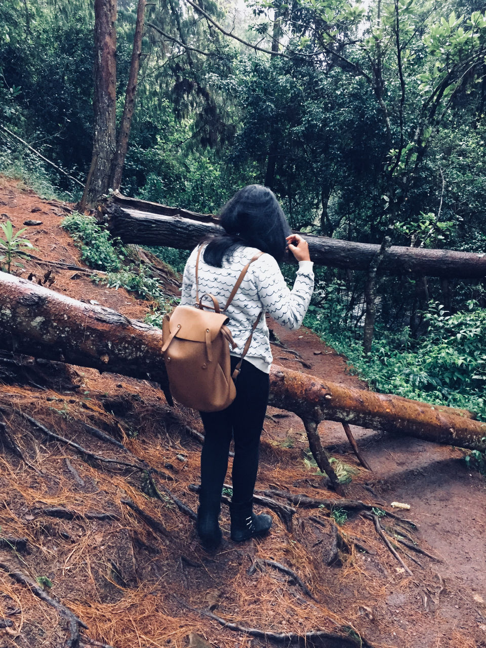 Photo of Kodaikanal by Ananya Sinha
