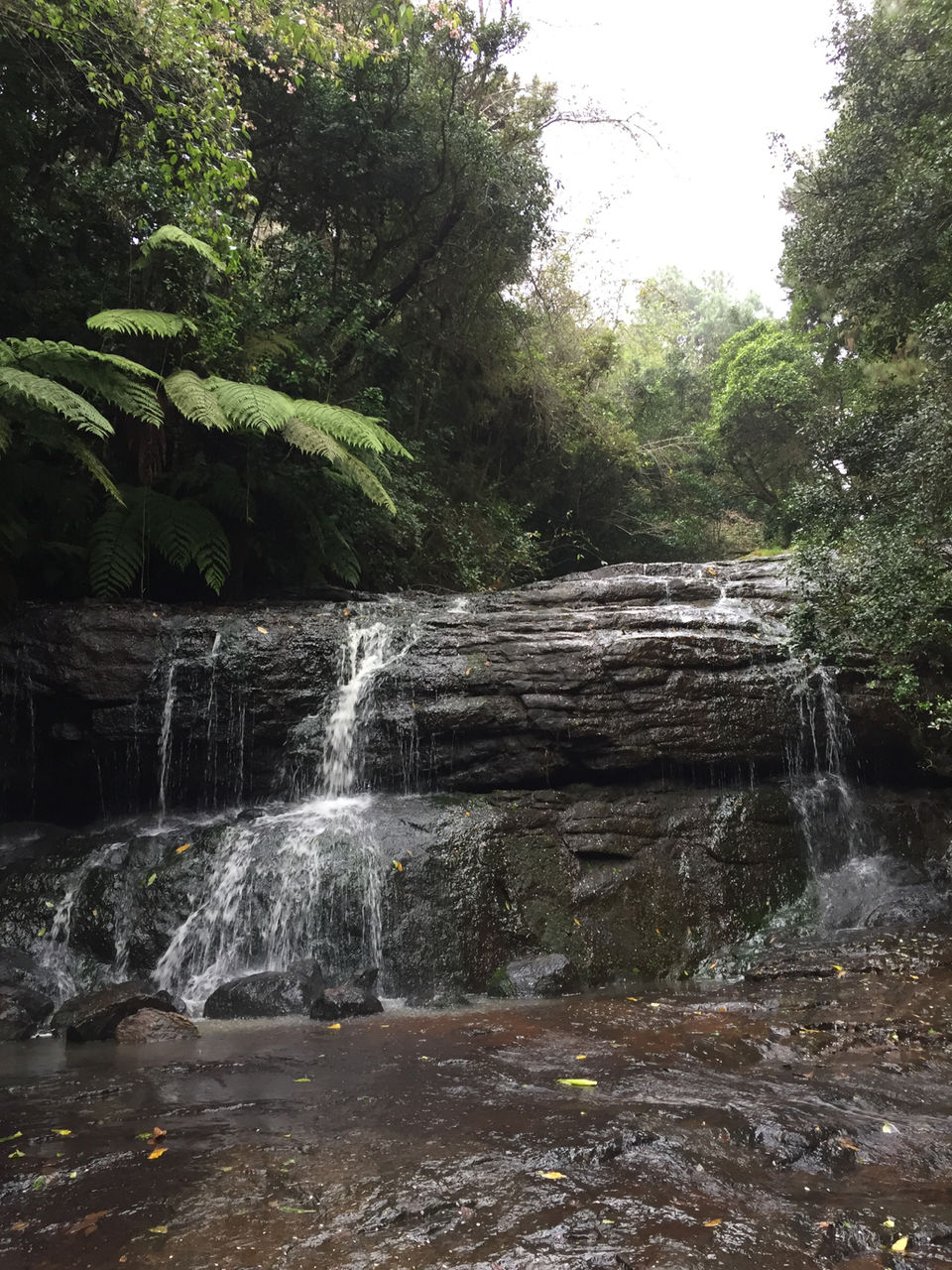 Photo of Kodaikanal by Ananya Sinha