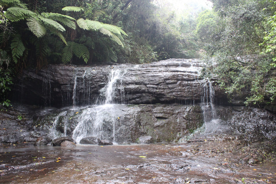 Photo of Kodaikanal by Ananya Sinha