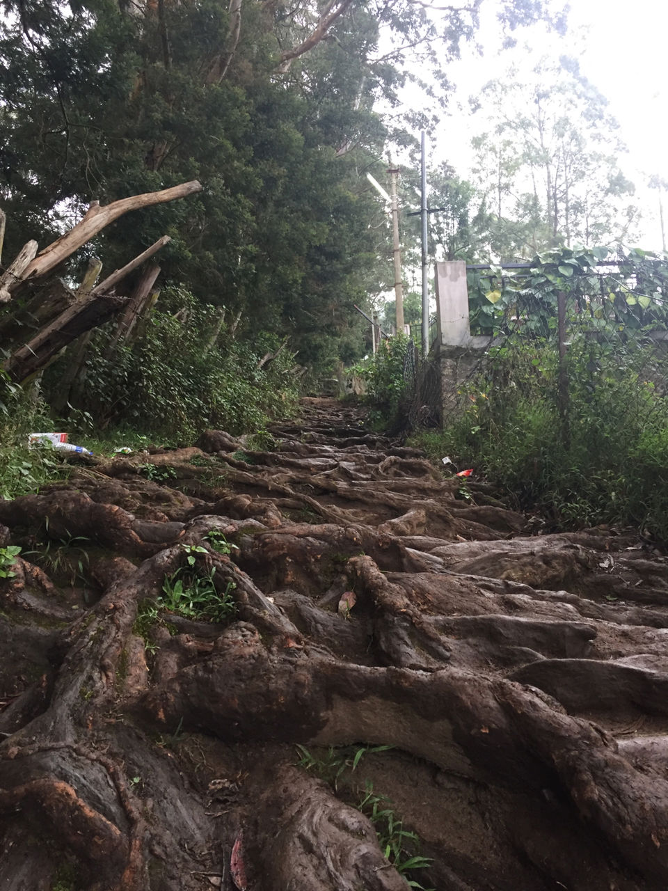 Photo of Kodaikanal by Ananya Sinha