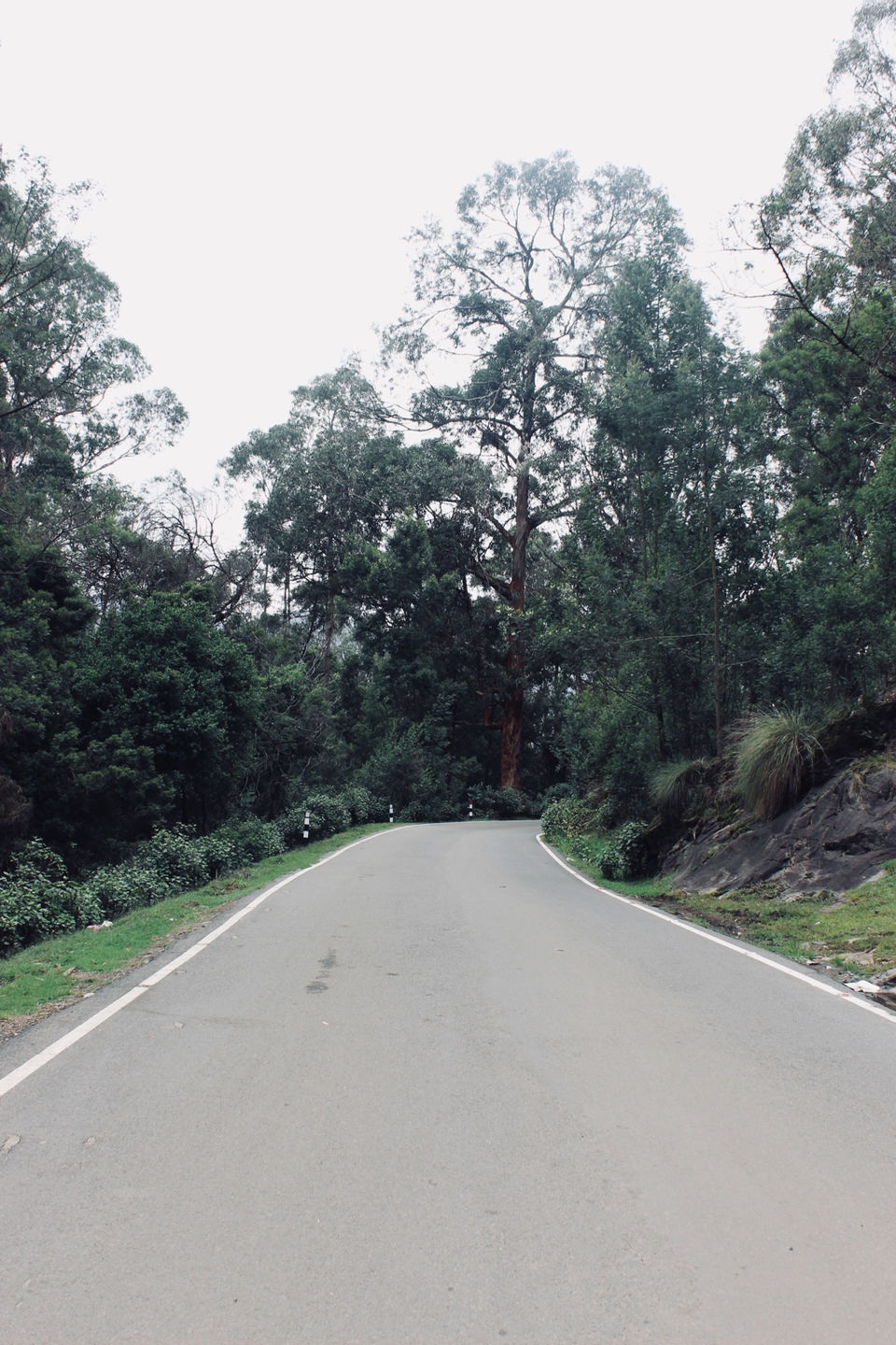 Photo of Kodaikanal #notinnorth by Ananya Sinha