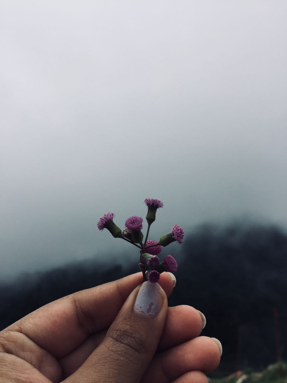 Photo of Kodaikanal #notinnorth by Ananya Sinha