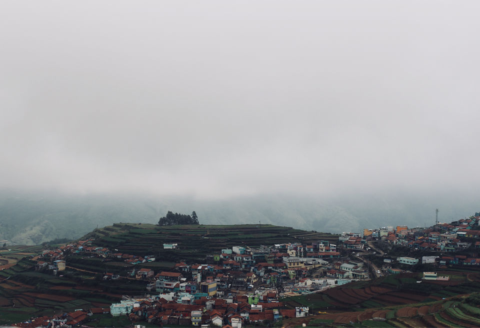 Photo of Kodaikanal #notinnorth by Ananya Sinha