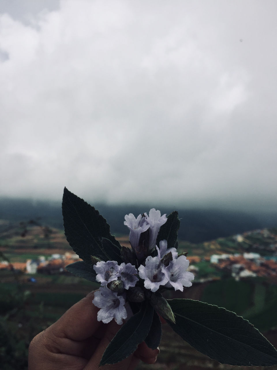Photo of Kodaikanal #notinnorth by Ananya Sinha