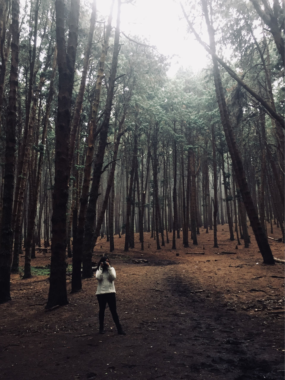 Photo of Kodaikanal #notinnorth by Ananya Sinha