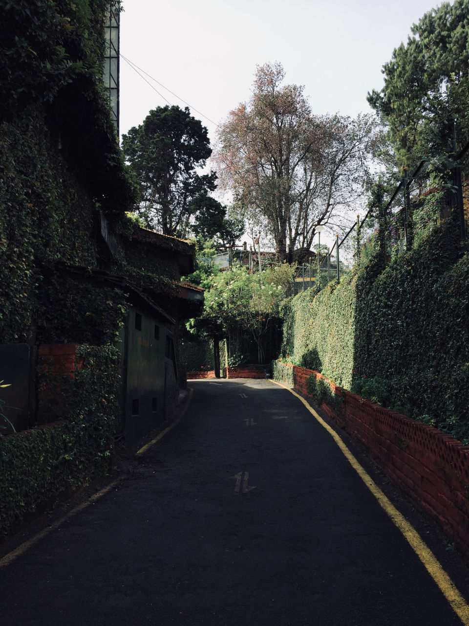 Photo of Kodai Resort Hotel, Kodaikanal, Tamil Nadu, India by Ananya Sinha