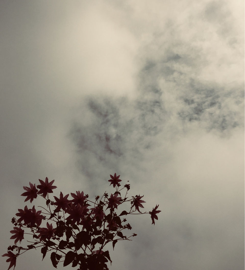 Photo of Kodai Resort Hotel, Kodaikanal, Tamil Nadu, India by Ananya Sinha