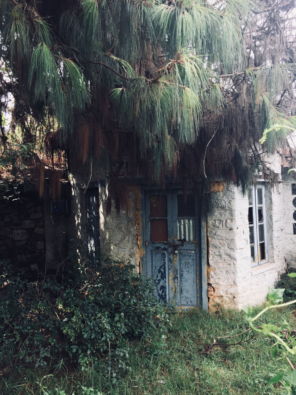 Photo of Kodai Resort Hotel, Kodaikanal, Tamil Nadu, India by Ananya Sinha