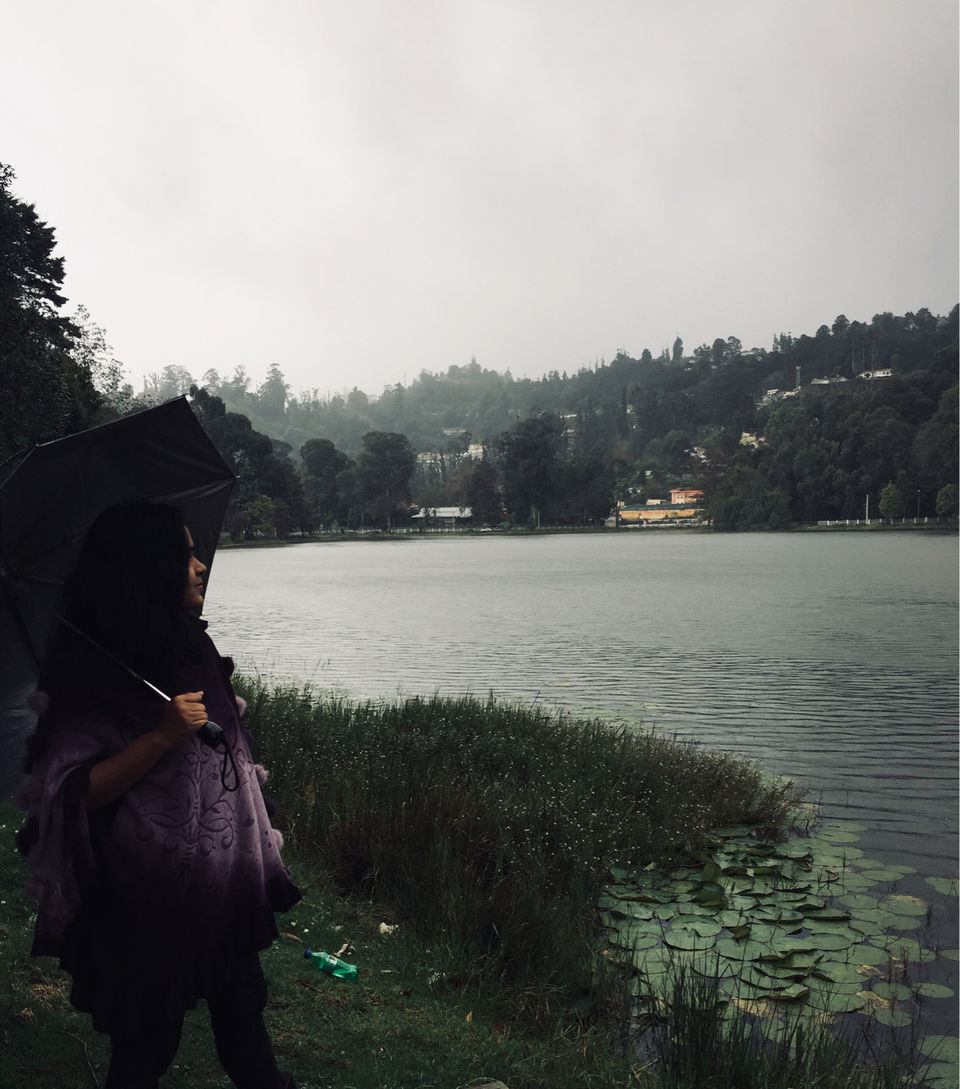 Photo of Kodaikanal #notinnorth by Ananya Sinha