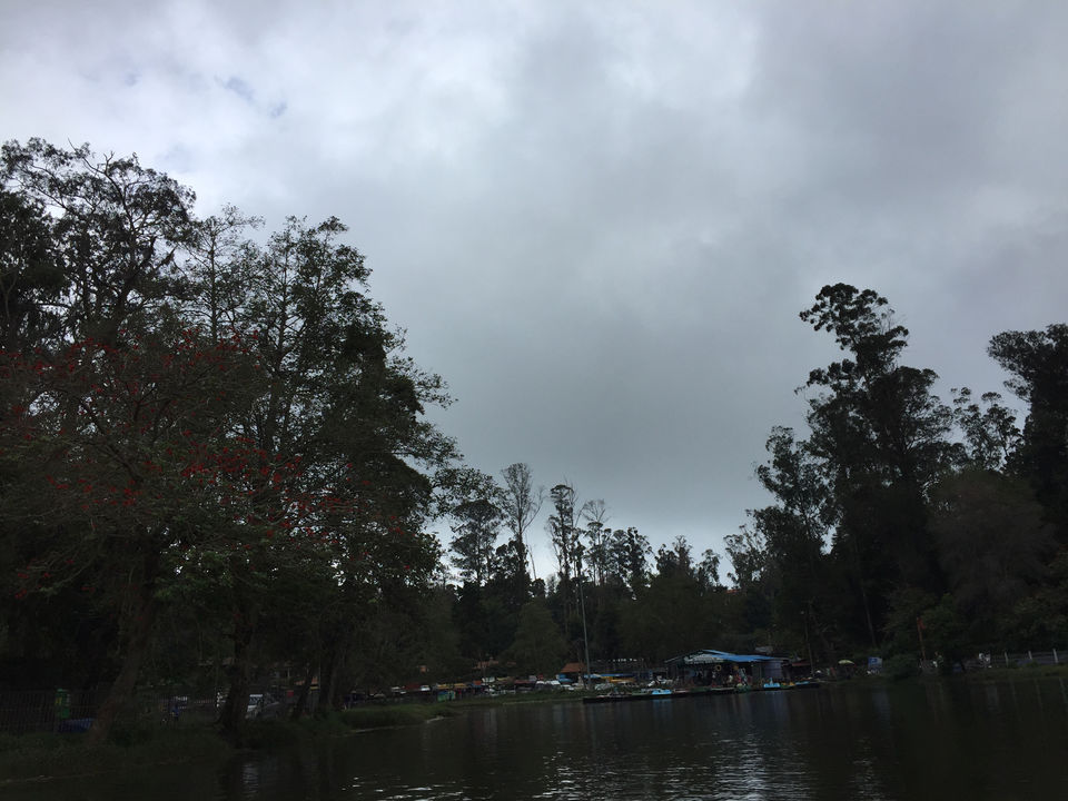 Photo of Kodaikanal #notinnorth by Ananya Sinha