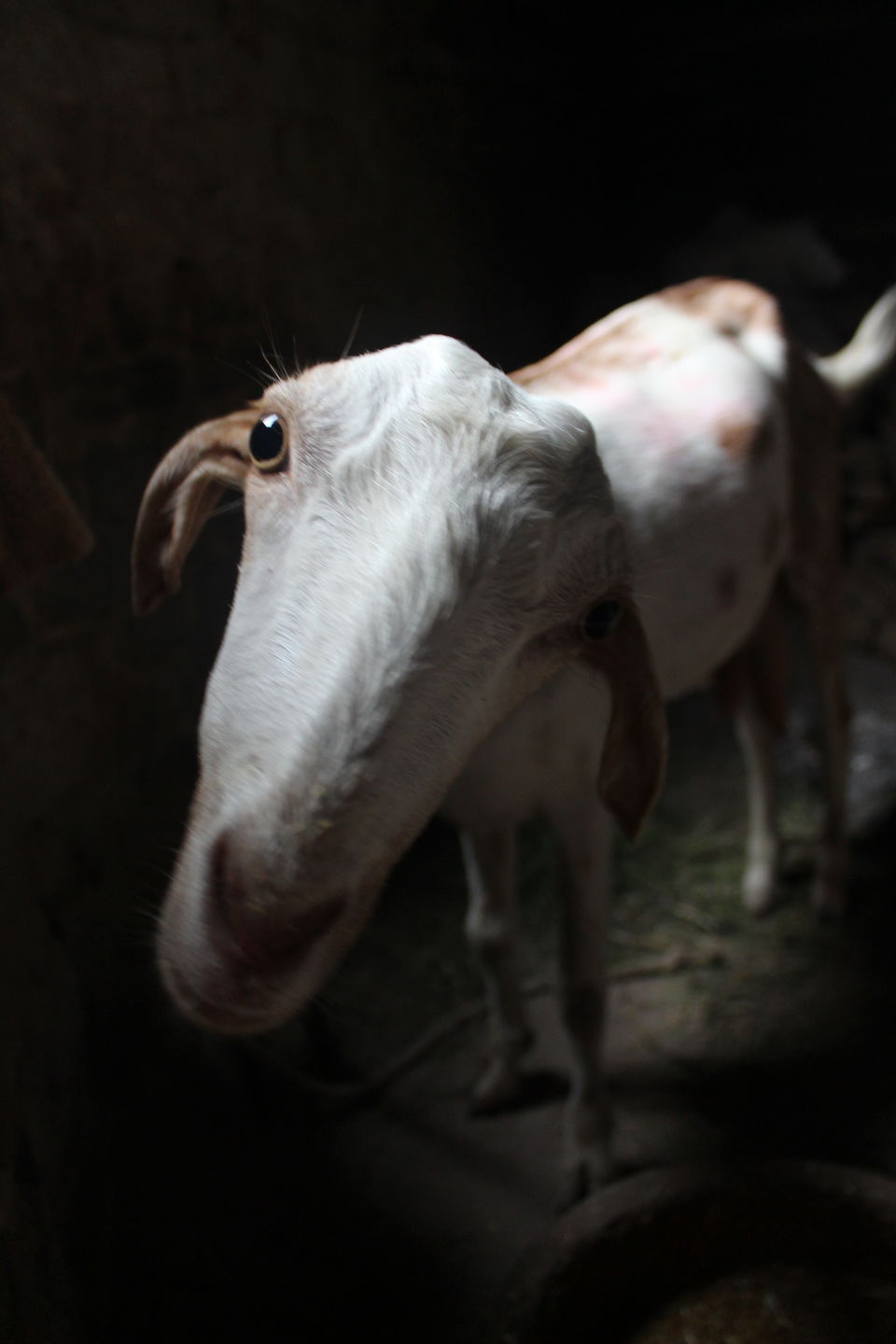Photo of Chunar - A potter's wheel and wail. #learningholiday 18/20 by Ananya Sinha