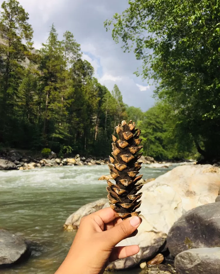 Photo of Kasol from the eyes of a non stoner. by Ananya Sinha