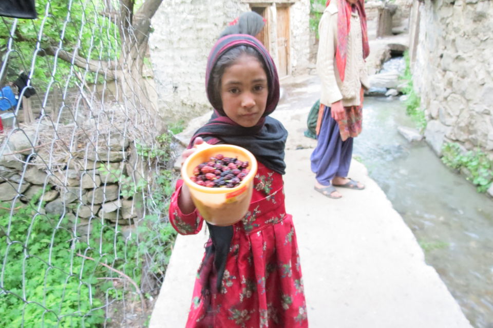 Photo of Get!!! Set!!! Leh'd!!! Ladakh Diaries - II (A Majestic Journey to Turtuk Village) 6/17 by Nazia Khan