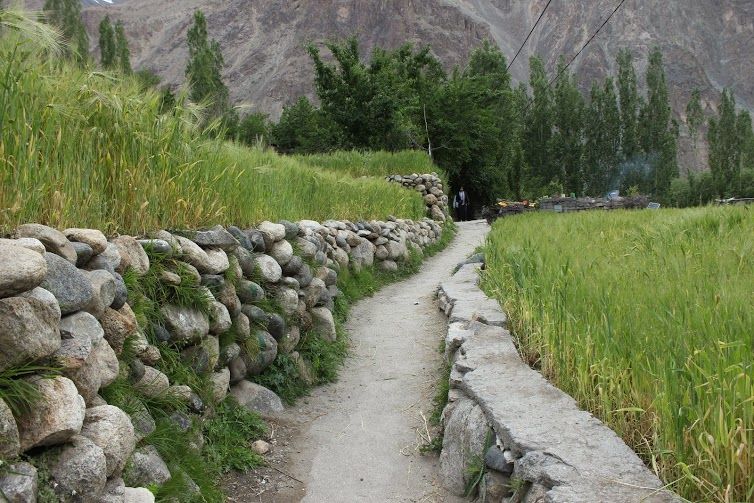 Photo of Get!!! Set!!! Leh'd!!! Ladakh Diaries - II (A Majestic Journey to Turtuk Village) 10/17 by Nazia Khan