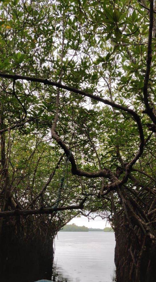 Photo of Madu Ganga , Sri Lanka by Sara Joseph