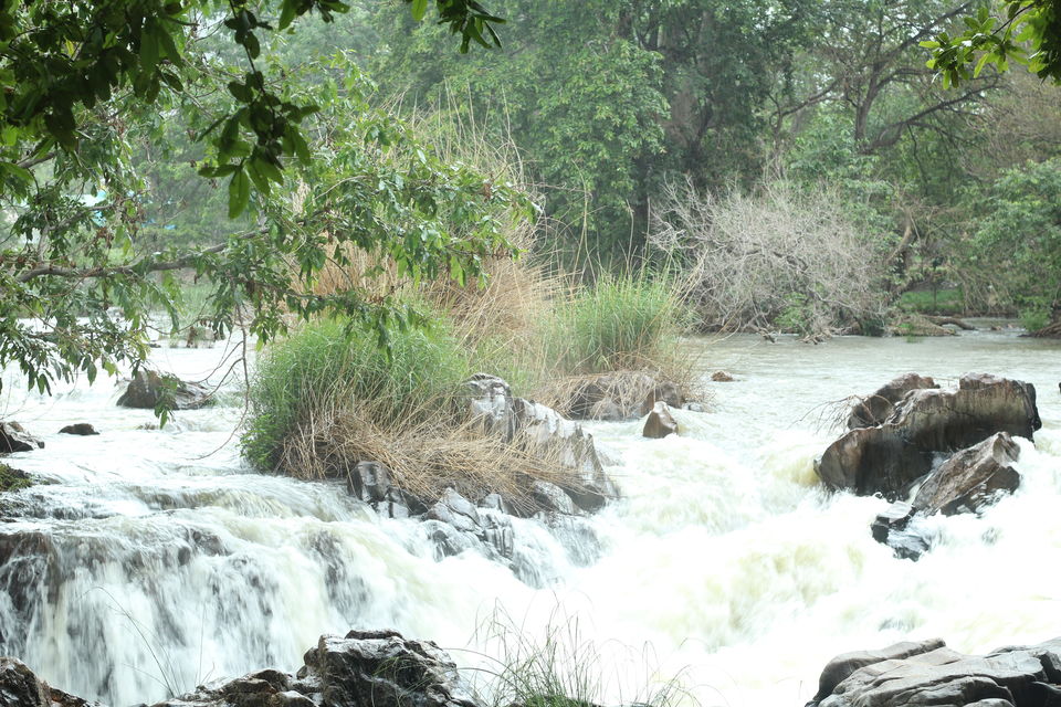 Photo of A deep dive - Hogenakkal Waterfalls by Nikhil