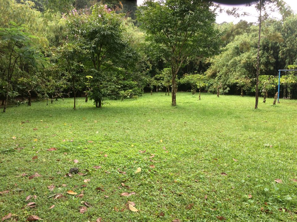 Photo of The Southern Deccan - Wayanad by Nikhil