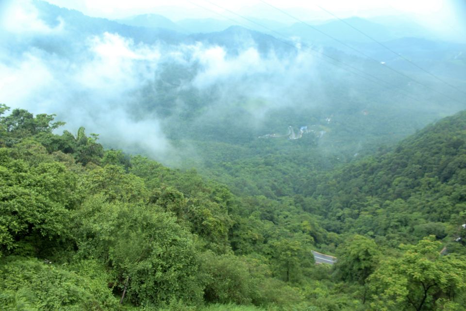 Photo of The Southern Deccan - Wayanad by Nikhil