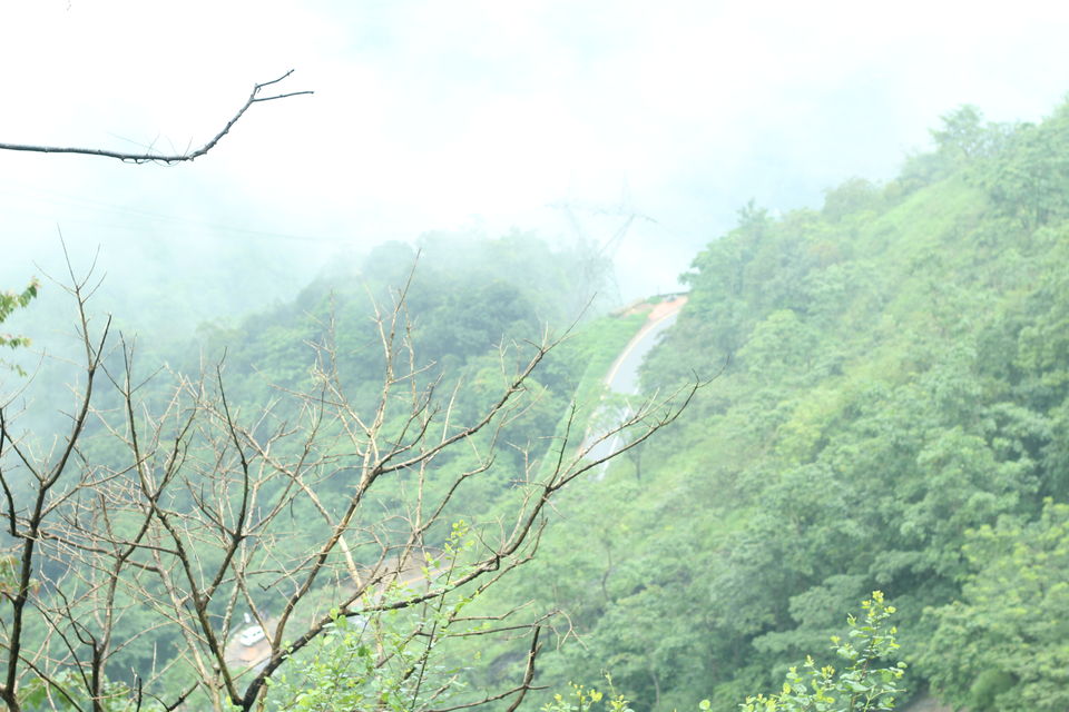Photo of The Southern Deccan - Wayanad by Nikhil