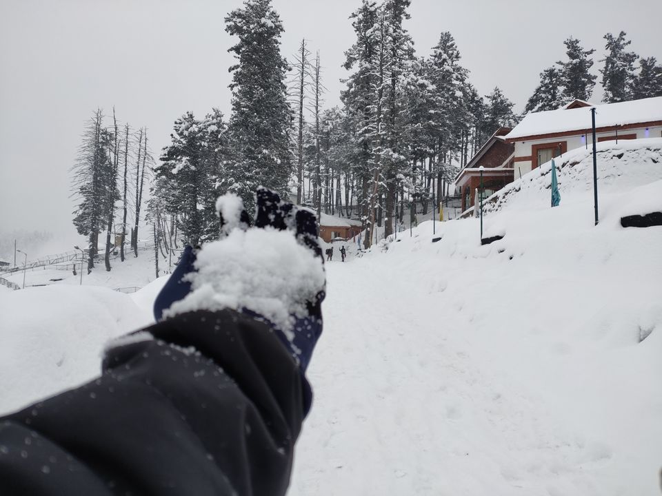 Photo of Gulmarg by vartika pandey