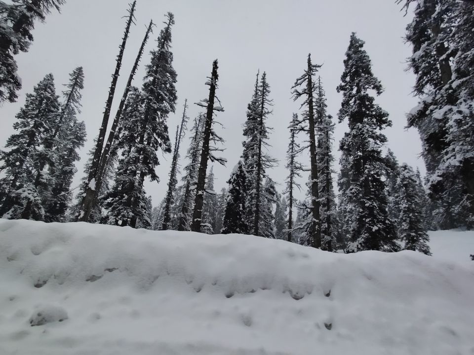 Photo of Gulmarg by vartika pandey