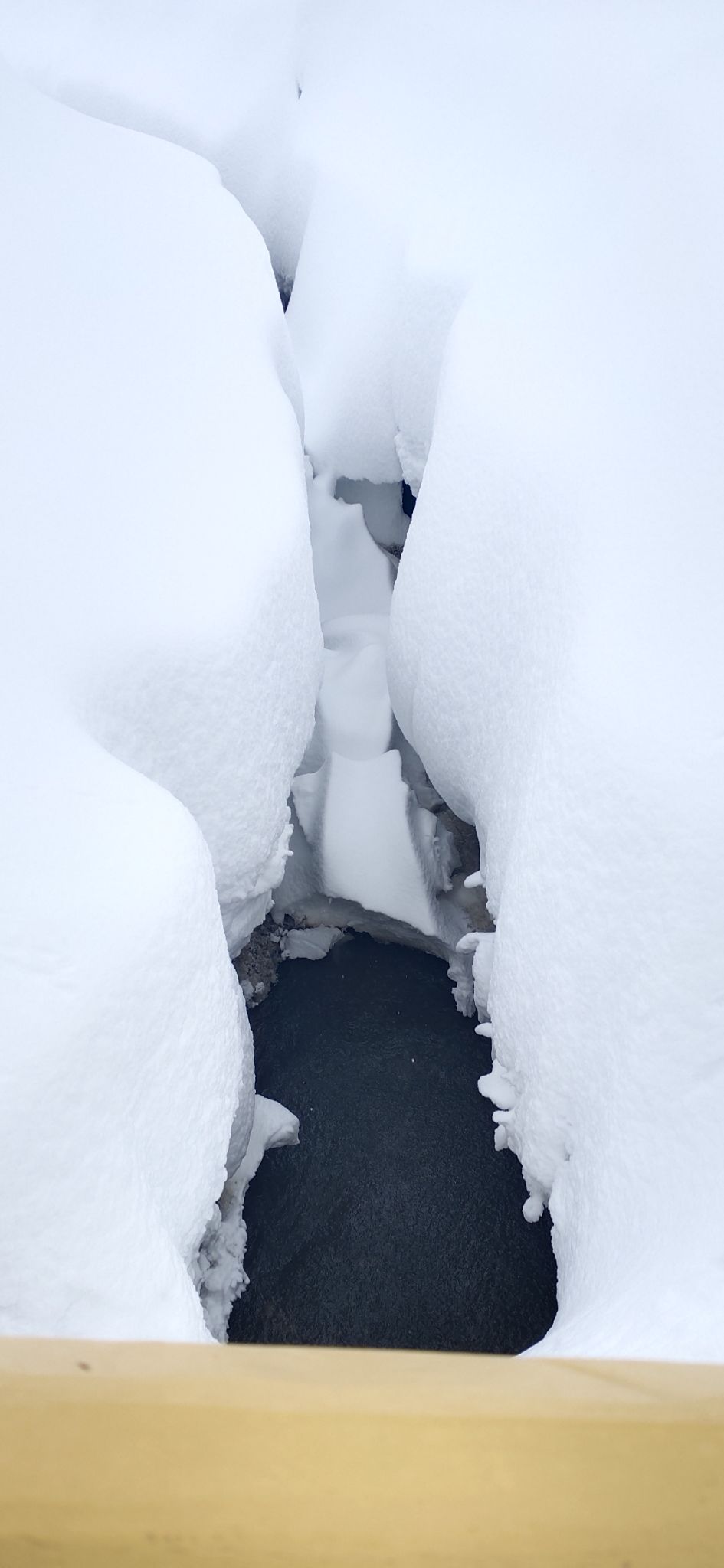 Photo of Gulmarg by vartika pandey