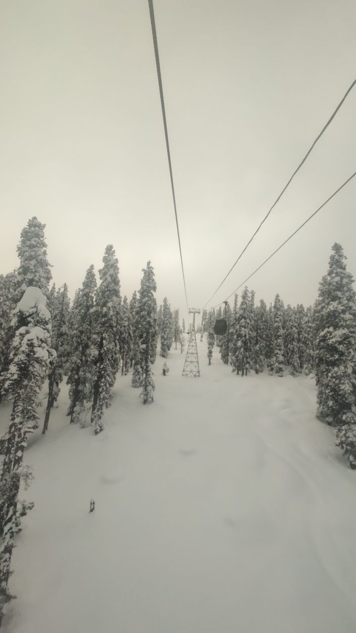 Photo of Kashmir and Skiing in Gulmarg by vartika pandey