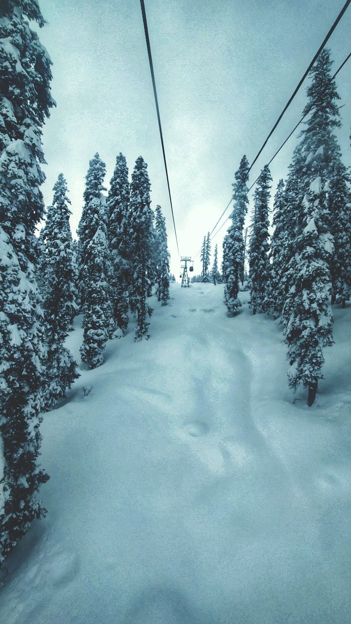 Photo of Kashmir and Skiing in Gulmarg by vartika pandey
