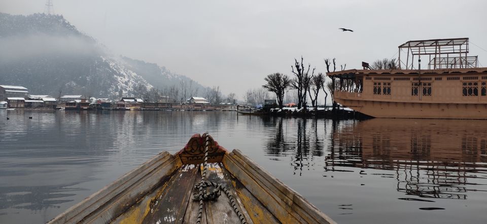 Photo of Kashmir and Skiing in Gulmarg by vartika pandey