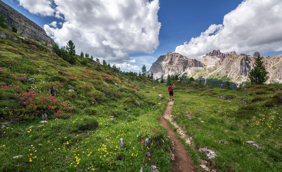 Photo of Valley of Flowers National Park, Uttarakhand, India by Afsarul haq