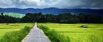Photo of कुदरत का हसीन शहर जीरो वैली #northeastitinerary by Afsarul haq