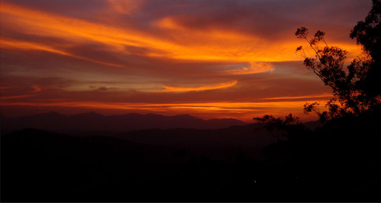 Photo of भारत का स्कॉटलैंड कूर्ग #bestoftravel #tripotoabhindimein by Afsarul haq