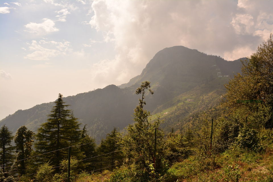Photo of धनौल्टी सुकून चाहते है तो यहाँ ज़रूर जाये ! #offbeatuttarakhand by Afsarul haq