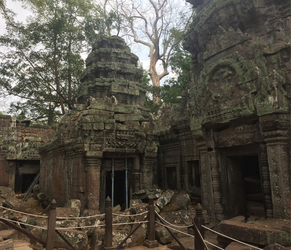 Photo of This once neglected temple in Cambodia is an inspiration for instagrammers, writers and poets. by shalbha sarda
