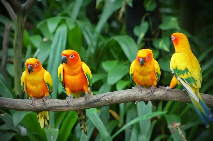 Photo of Karnala Bird Sanctuary, Karnala, Maharashtra, India by Shalbha Sarda