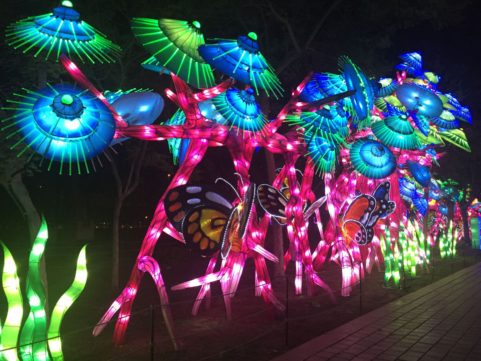 Photo of This is why I can Keep Going To Dubai Over And Over by Shalbha Sarda
