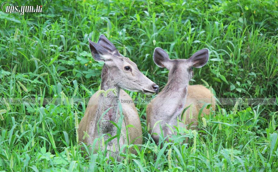 Photo of Visit to Pandupol – Sariska, Alwar 2/2 by Er Tarun Kuldeep