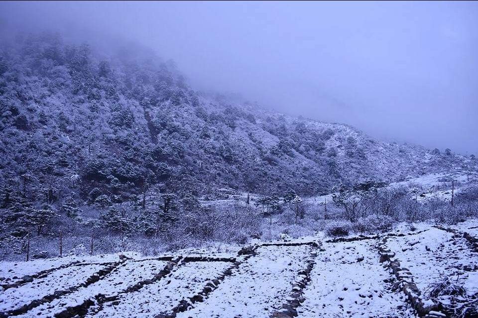 Photo of Lachen, Sikkim, India by oshin dhanwar