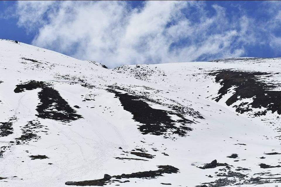Photo of Zero Point Yumthang Valley, Sikkim, India by oshin dhanwar