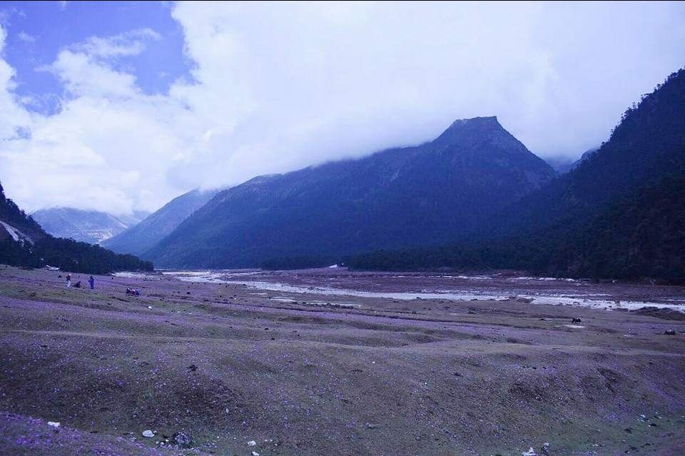 Photo of Zero Point Yumthang Valley, Sikkim, India by oshin dhanwar